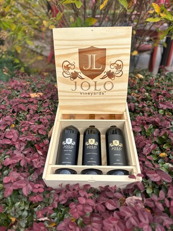 Gift Box- JOLO's Swinging Singles