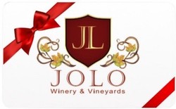 $100 GIFT CARD - 2025 BLACK FRIDAY